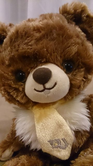 ディズニーストア ユニベア モンブランプラッシュ モン チップとデール 新品 中古のオークション モバオク